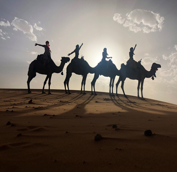 Camel excursions Merzouga