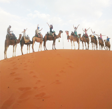 Merzouga camel trek